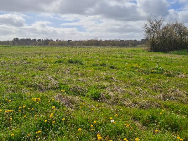 Terrain vente à Langon, Baigneaux