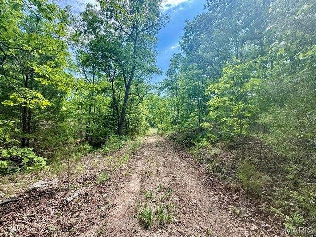 Land for sale in Licking, Missouri