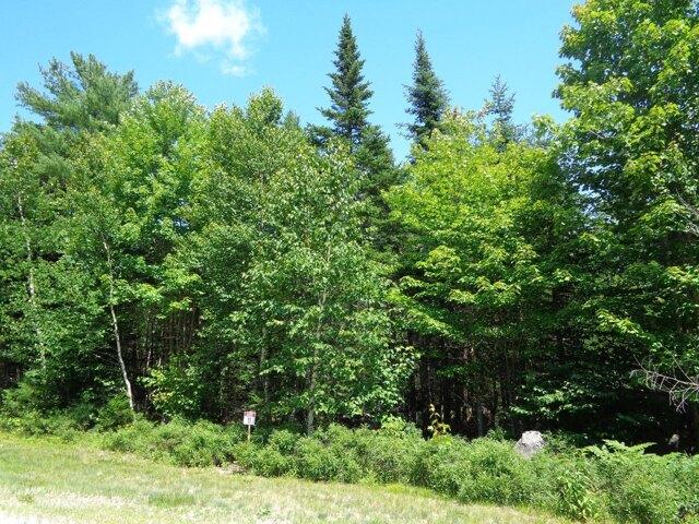 Land for sale in Franklin, Maine