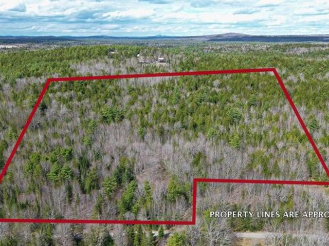Land for sale in Franklin, Maine