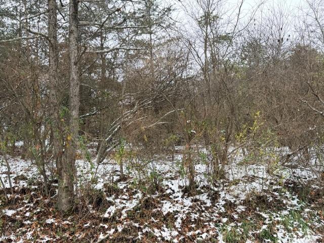 Land for sale in Elizabeth, West Virginia