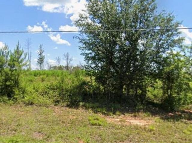 Land for sale in Quincy, Florida