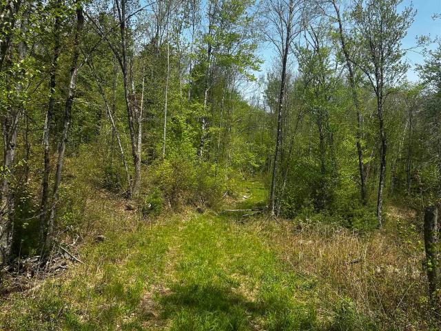 Land for sale in New Hampshire
