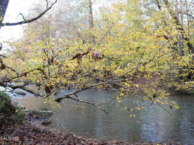 Land for sale in Tennessee