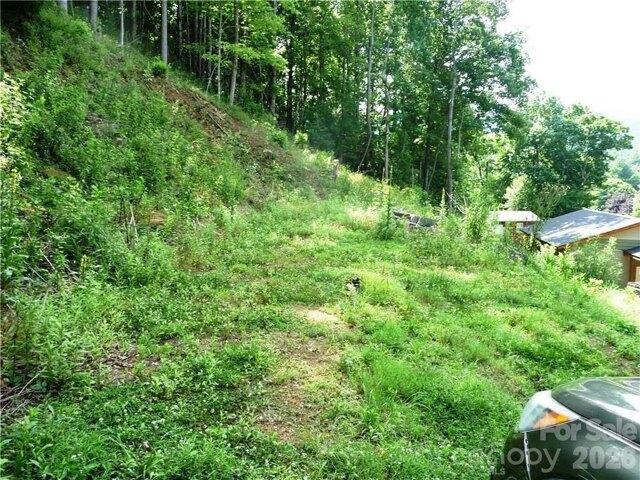 Land for sale in Watauga, North Carolina
