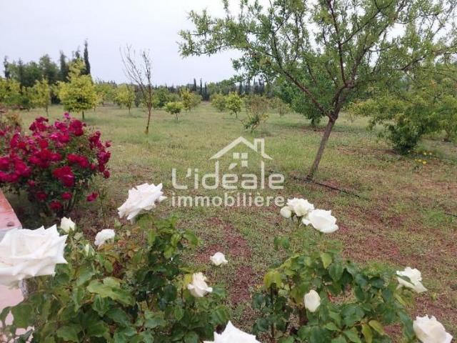 Terrain vente à Beni Khalled