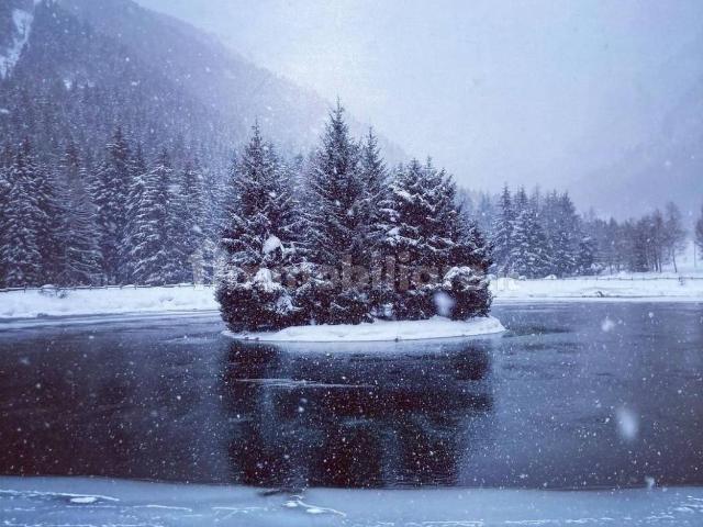 Villa Indipendente in affitto a Comunità montana della valle Camonica, Ponte Di Legno