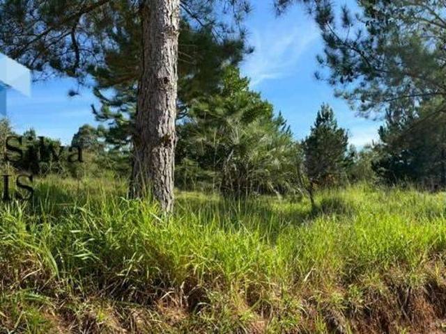 Terreno venda em Região Geográfica Imediata de Porto Alegre, Região Metropolitana de Porto Alegre