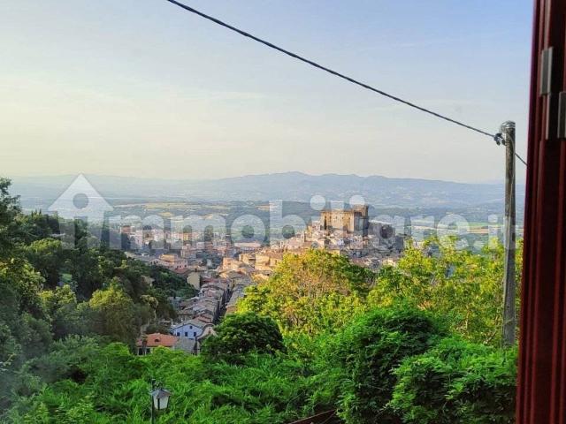 Villa Indipendente in affitto a Soriano Nel Cimino, Lazio