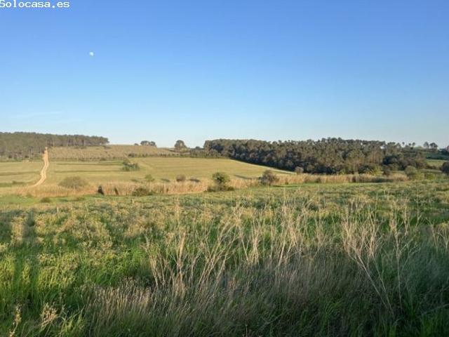 Local Comercial en venta en Baix Empordà, Catalunya