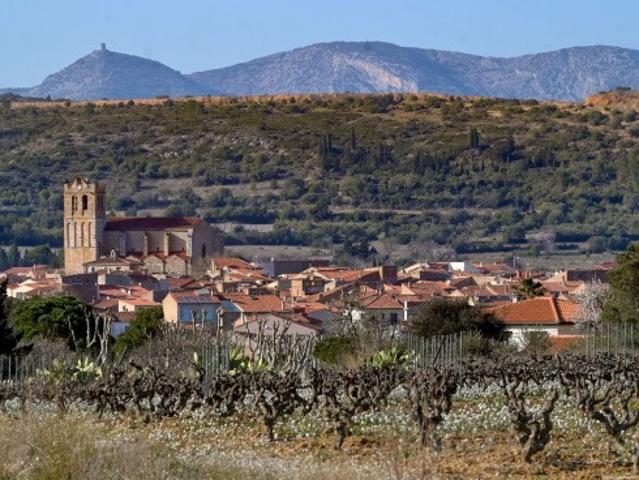 Terrain vente à Perpignan, Baixas