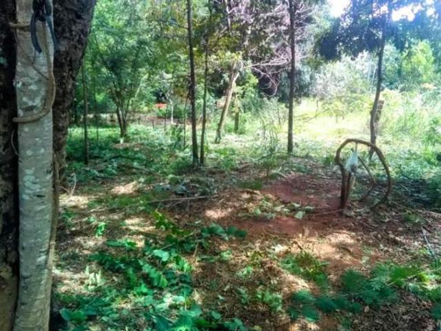 Terreno venda em Região Geográfica Imediata de Flores de Goiás, Alto Paraíso de Goiás