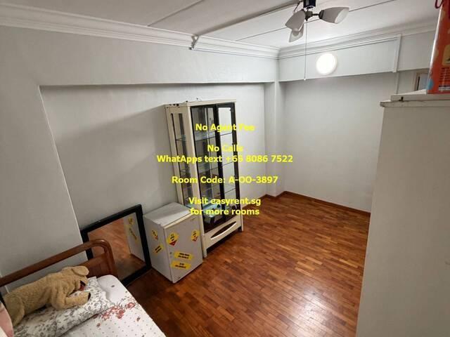 Room for rent