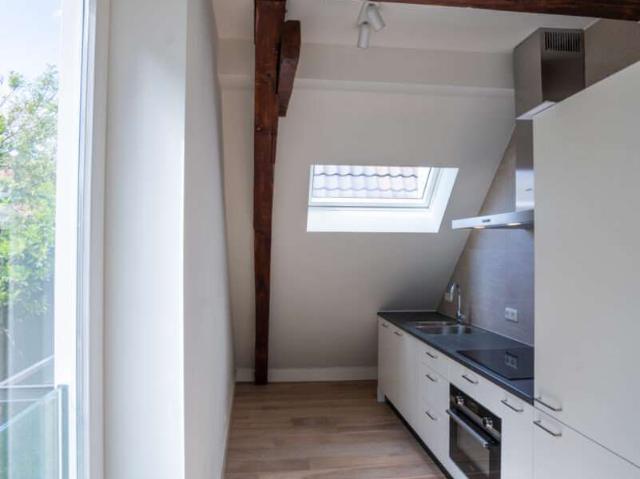 Woning te huur in Haarlem, Frans Halsbuurt