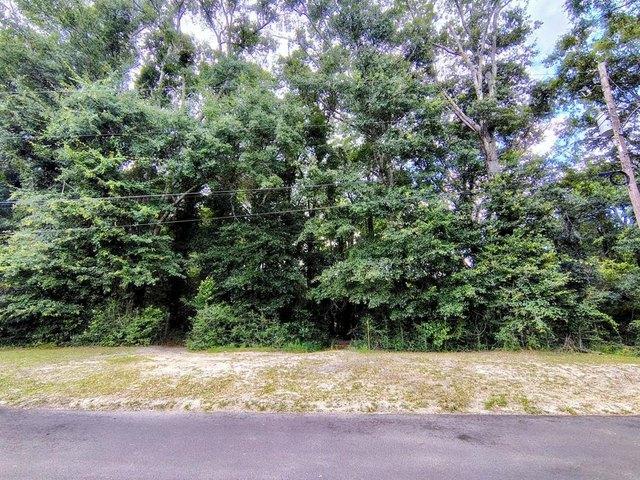 Land for sale in Geneva, Alabama