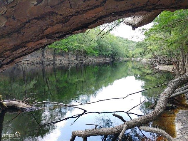 Land for sale in Saint George, Georgia