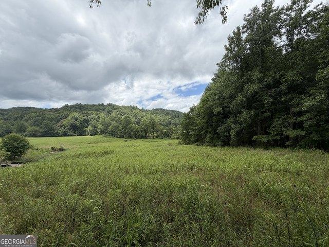 Land for sale in Suches, Georgia