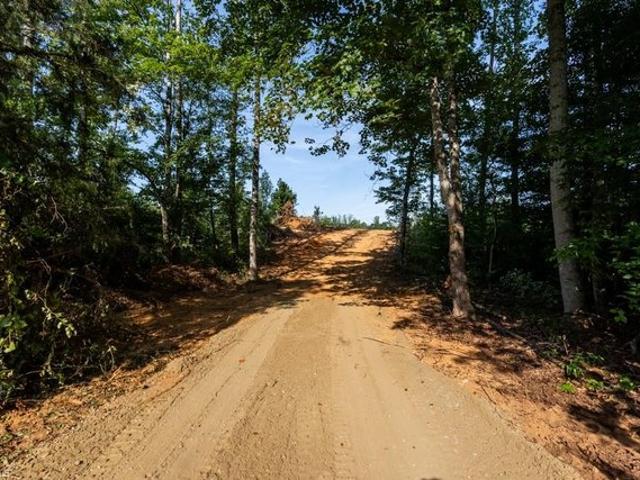 Land for sale in Reidsville, North Carolina