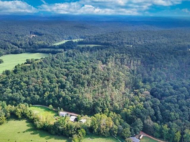 Land for sale in Nunnelly, Middle Tennessee