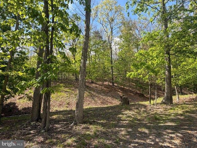 Land for sale in Fort Ashby, West Virginia