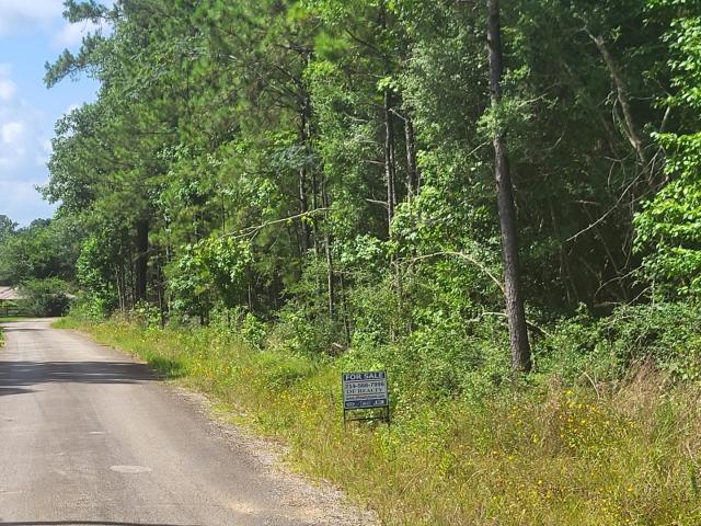 Land for sale in Newton, Texas