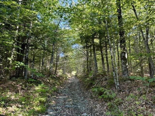 Land for sale in Solon, Somerset County