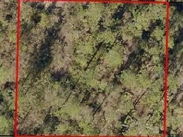 Land for sale in Altha