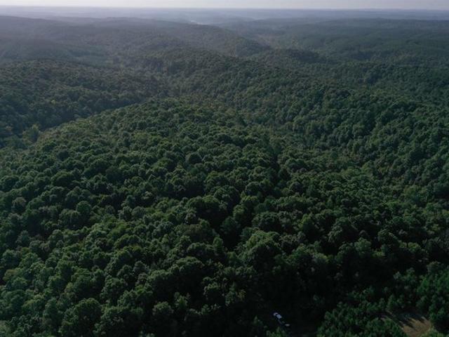 Land for sale in Ark