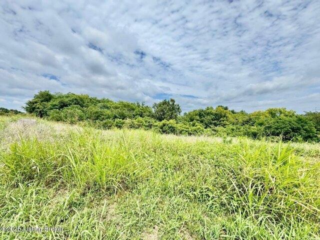 Land for sale in Willisburg