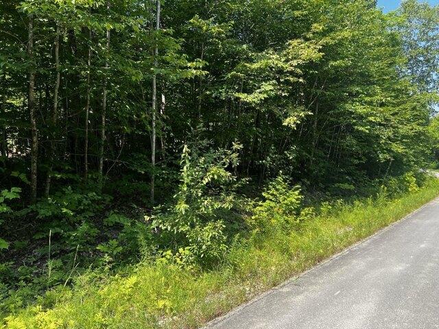 Land for sale in Danforth, Washington County