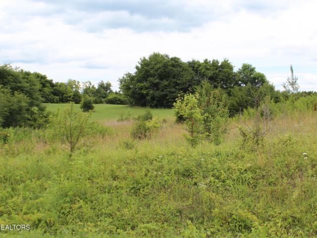 Land for sale in Tennessee
