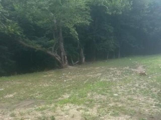 Land for sale in Aliquippa