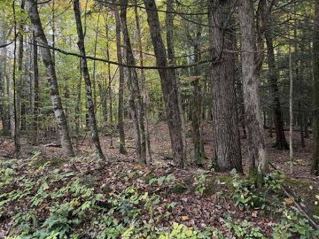Land for sale in Hartford, Windsor County