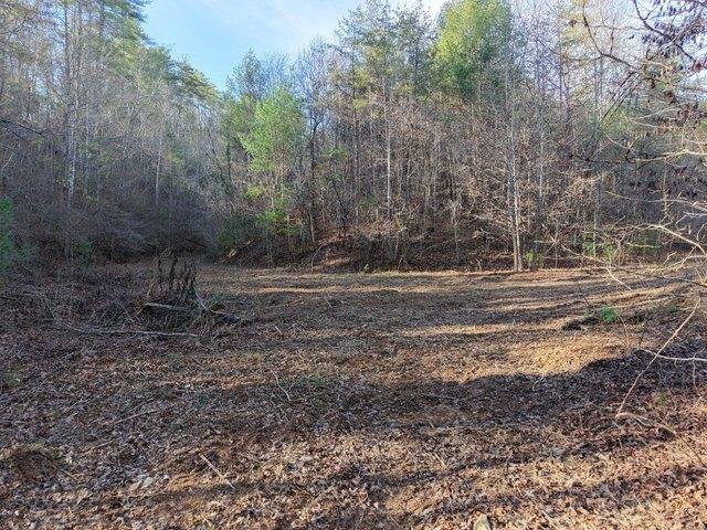 Land for sale in Old Fort, North Carolina