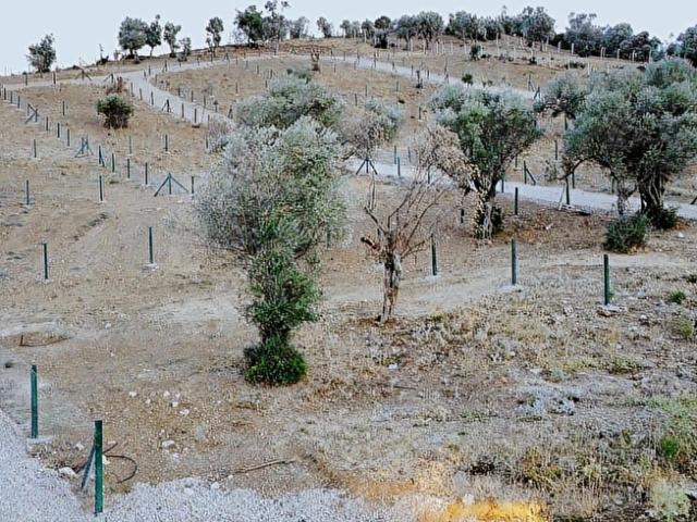 Menderes, İzmir içerisinde satılık Arsa