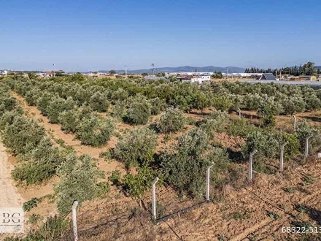 Menderes, İzmir içerisinde satılık Arsa