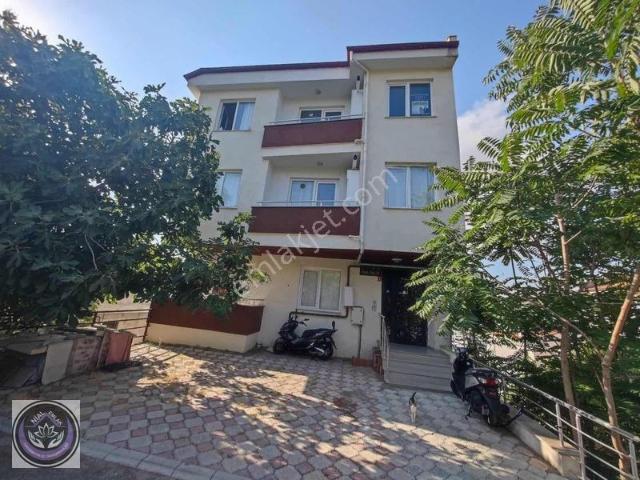Kasaplar, Altıeylül içerisinde kiralık mülk