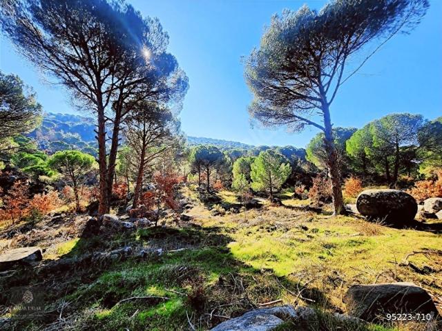 Ayvalik, Balikesir içerisinde satılık Arsa