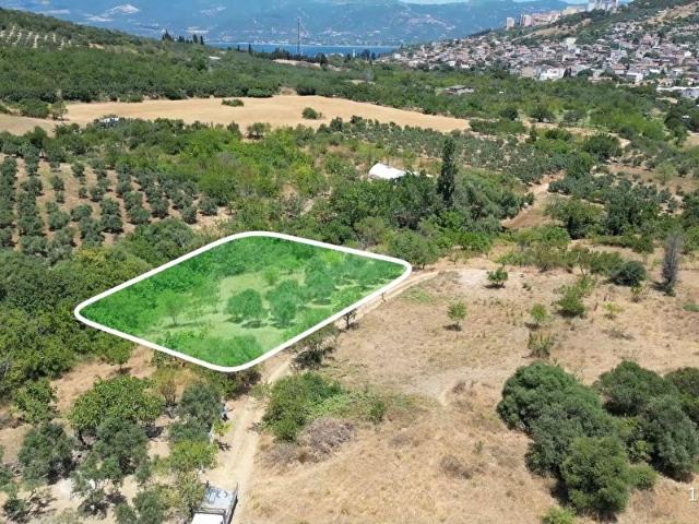 Edincik Mahallesi, Bandırma içerisinde satılık Arsa