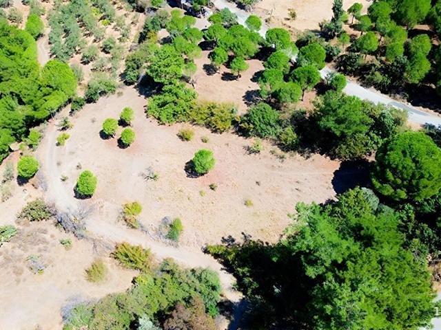 Sübeylidere Köyü, Burhaniye içerisinde satılık Arsa