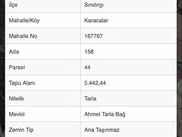 Karacalar, Sındırgı içerisinde satılık mülk