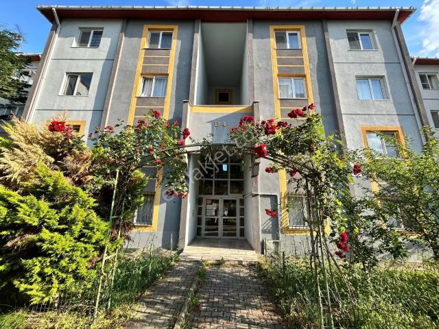 Yeni Mahalle, Karesi içerisinde kiralık mülk