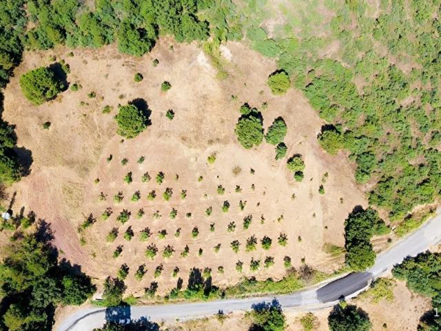 Kepsut, Balikesir içerisinde satılık Arsa