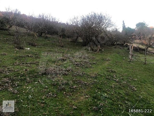 Sindirgi, Balikesir içerisinde satılık Arsa