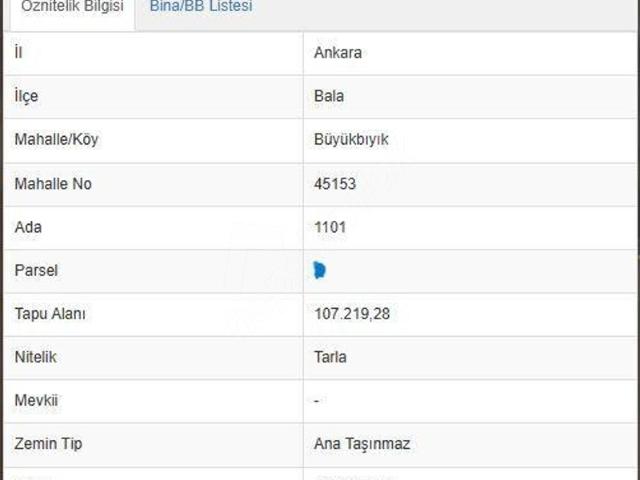 Büyük Boyalık, Balâ içerisinde satılık Arsa