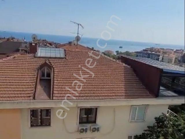 Avcilar, İstanbul içerisinde kiralık mülk