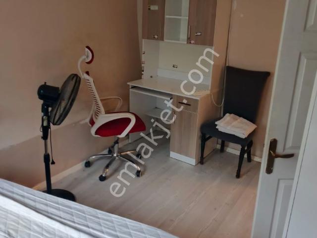 İstanbul Merkez, İstanbul içerisinde kiralık mülk