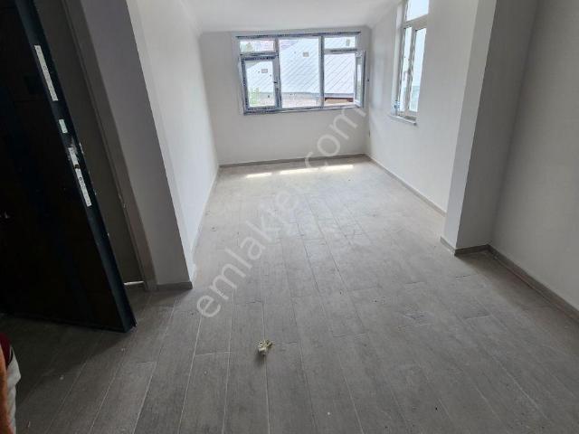 İstanbul Merkez, İstanbul içerisinde kiralık mülk