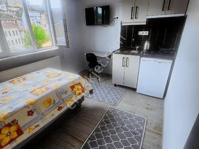İstanbul Merkez, İstanbul içerisinde kiralık mülk