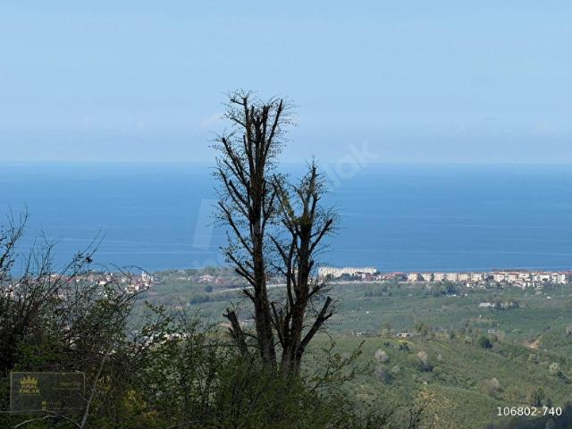 Akçakoca, Düzce içerisinde satılık Arsa